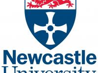 九游体育网页版入口-包含纽卡斯尔惊险获胜，士气大振的词条