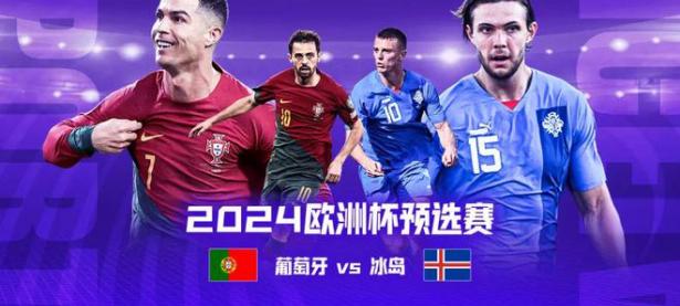 九游体育网页版入口-葡萄牙客场战胜立陶宛队，锁定小组头名位置的简单介绍