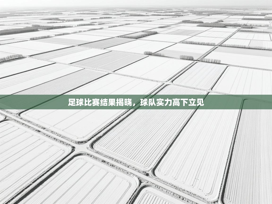 足球比赛结果揭晓，球队实力高下立见  第2张