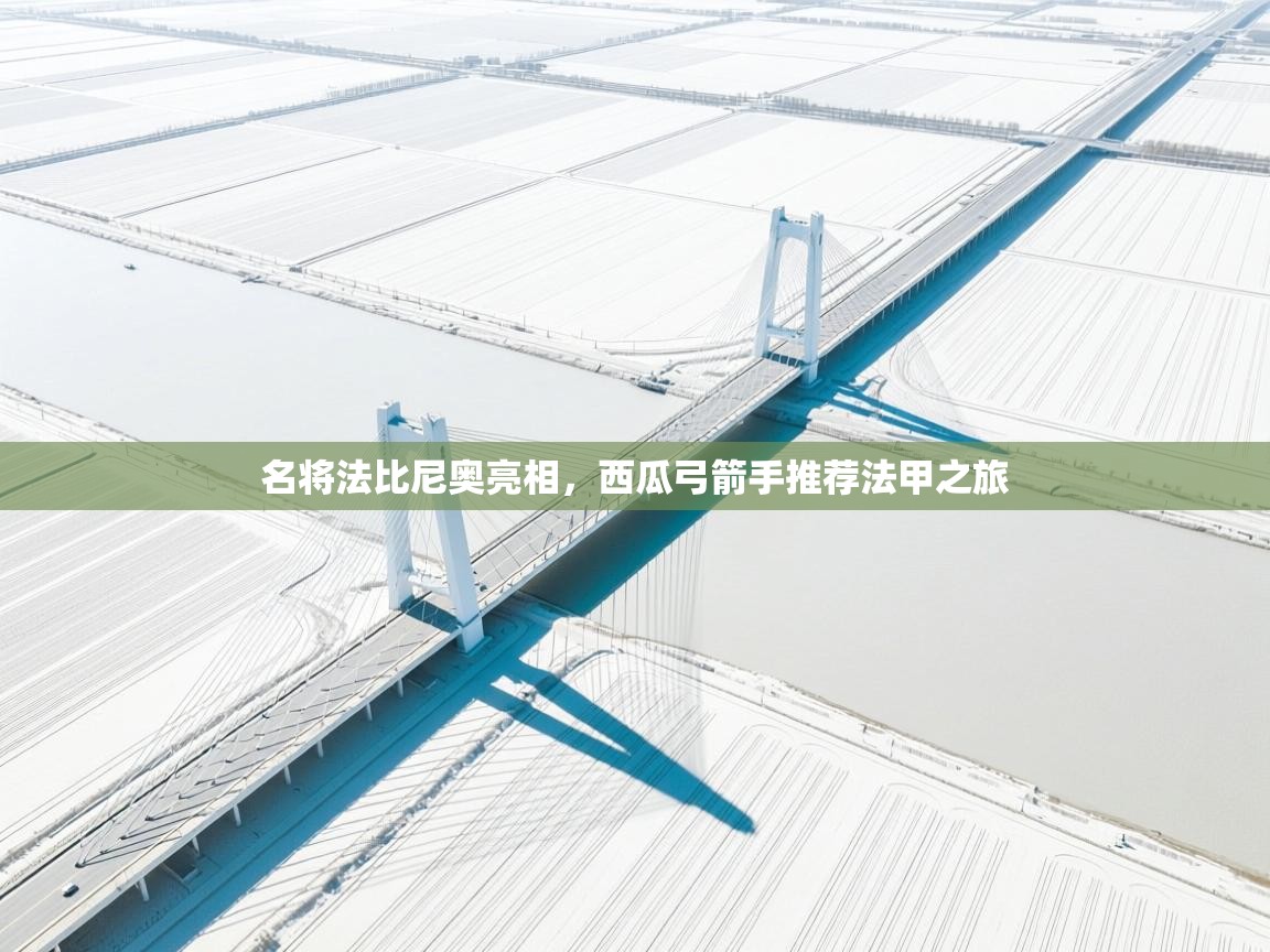 名将法比尼奥亮相，西瓜弓箭手推荐法甲之旅