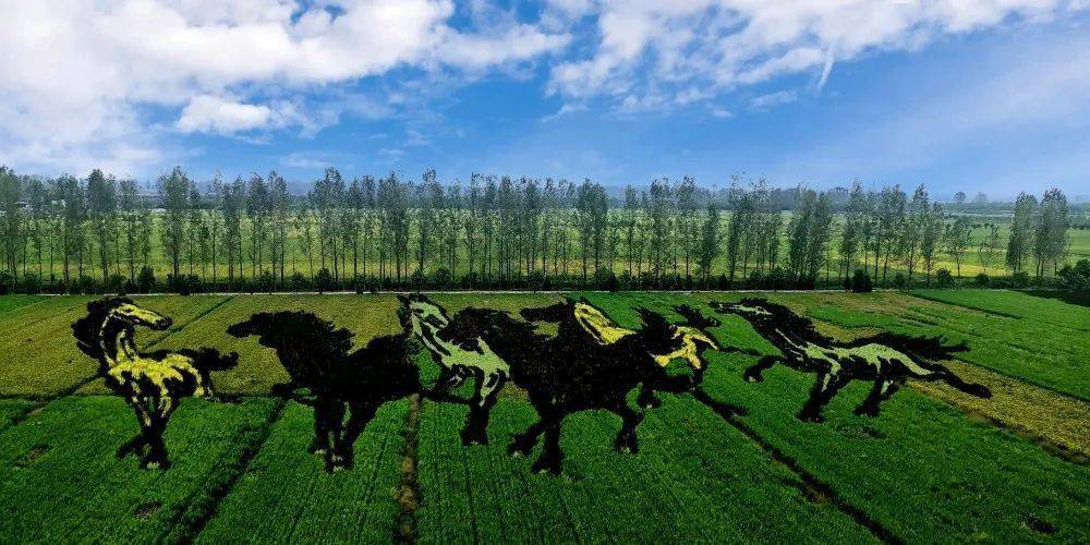 贵州球队重庆市北川，质的胜利