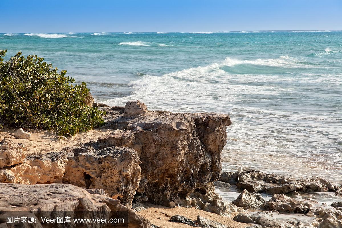 特克斯与凯科斯岛不敌爱沙尼亚遭受失利