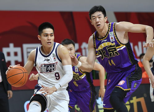 广东队主场迎战北京队,双方对决引发关注的简单介绍 广东队主场迎战北京队,双方对决引发关注的简单介绍